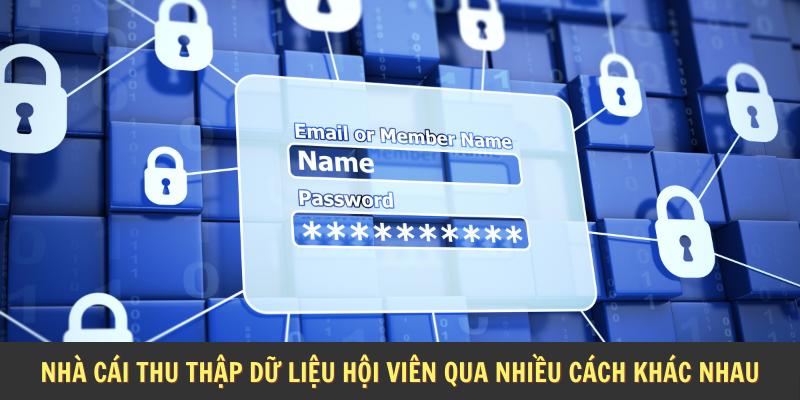 Nhà cái thu thập dữ liệu hội viên qua nhiều cách khác nhau