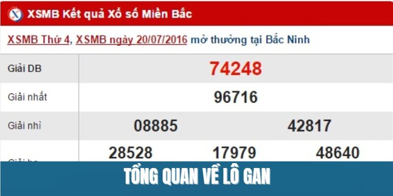 Tổng quan về lô gan